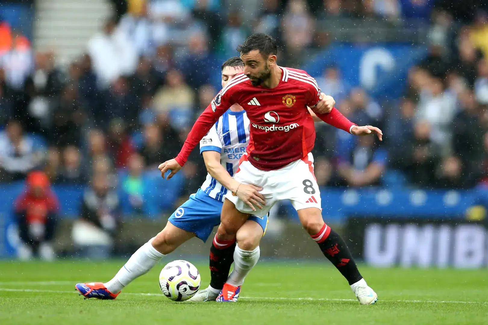 共同证明了 共同证明了